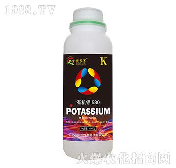 ЙC580ף-PL