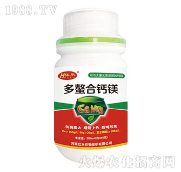 200ml}V-t(l)
