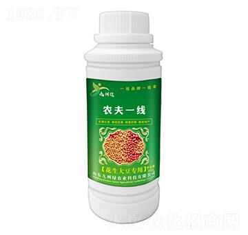 󶹌(zhun)~ r(nng)һ ݾG