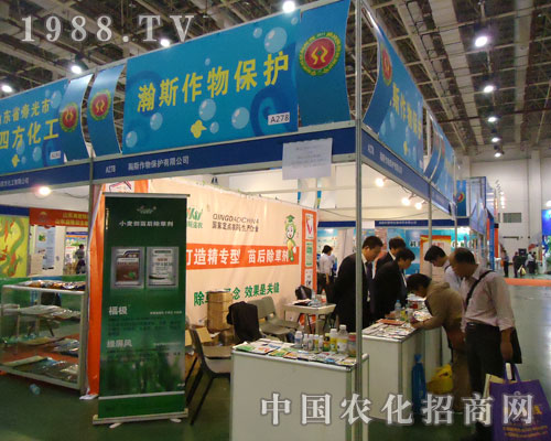 2011BTȫֲ˹ﱣo(h)(sh)F(xin)vw