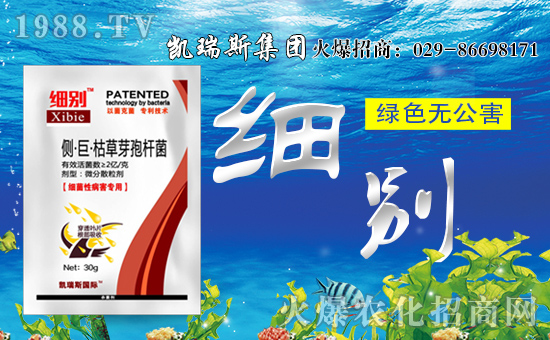 【凱瑞斯集團】祝大家生意興。£H家歡樂!