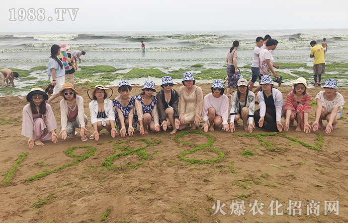 紅瓦綠樹,碧海藍天
