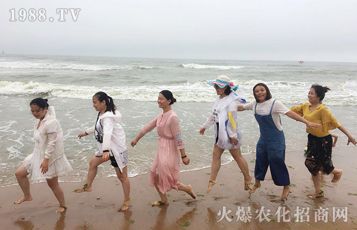 紅瓦綠樹、碧海藍天,擁抱大海,放飛心情!