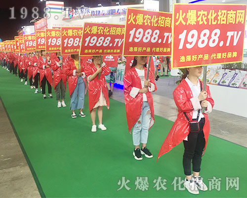 2018r(nng)Y1988.TVȫԸ
