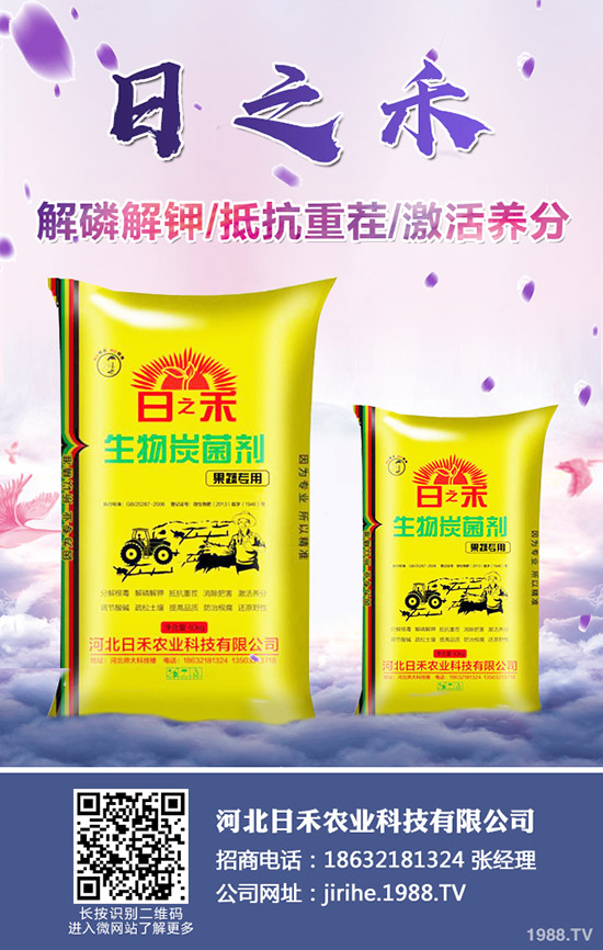 2019小麥什么時候種植,小麥種植注意要點!