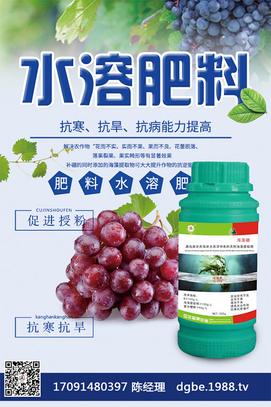 甘藍黑斑病危害這么大,到底該如何防治?快來看看吧!
