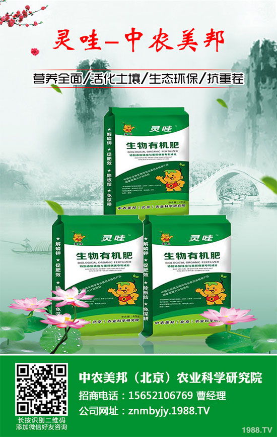 小麥播種過晚有哪些危害?小麥播種后管理方案
