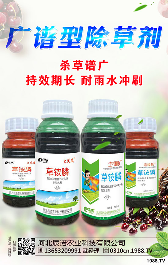 柑橘為什么不長個(gè)?促進(jìn)柑橘長個(gè)的措施有哪些?