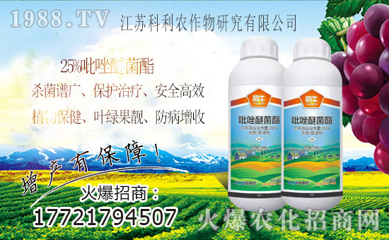 火爆農(nóng)化網(wǎng)喜迎新盟友,攜手科利共走財(cái)富之路!