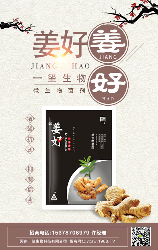 茄子的功效與作用,茄子的營(yíng)養(yǎng)價(jià)值