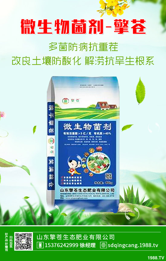 尿素價格下跌一周!2019年10月26日今日各地區(qū)尿素主流出廠報價!