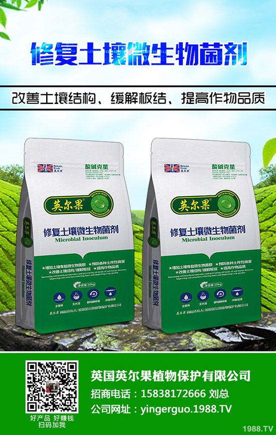 烯肟菌胺國(guó)家標(biāo)準(zhǔn)!如何選購(gòu)?烯肟菌胺購(gòu)買(mǎi)注意事項(xiàng)!