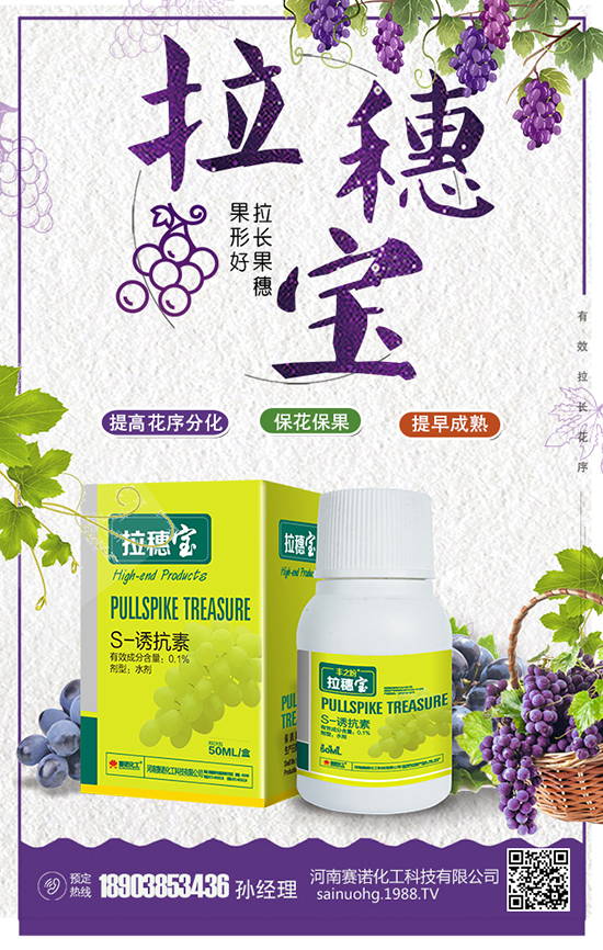 河南賽諾化工科技有限公司2