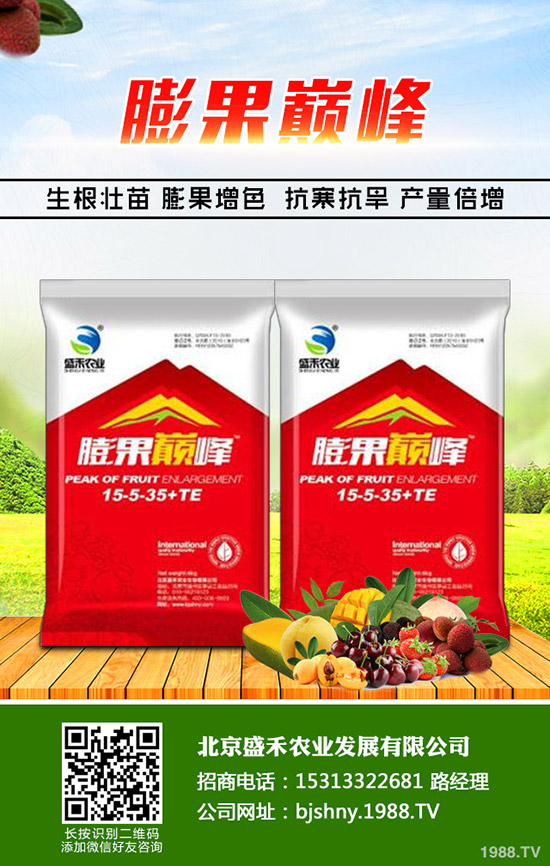 韭菜的種植時間是什么時候,韭菜的種植要點您了解嗎?