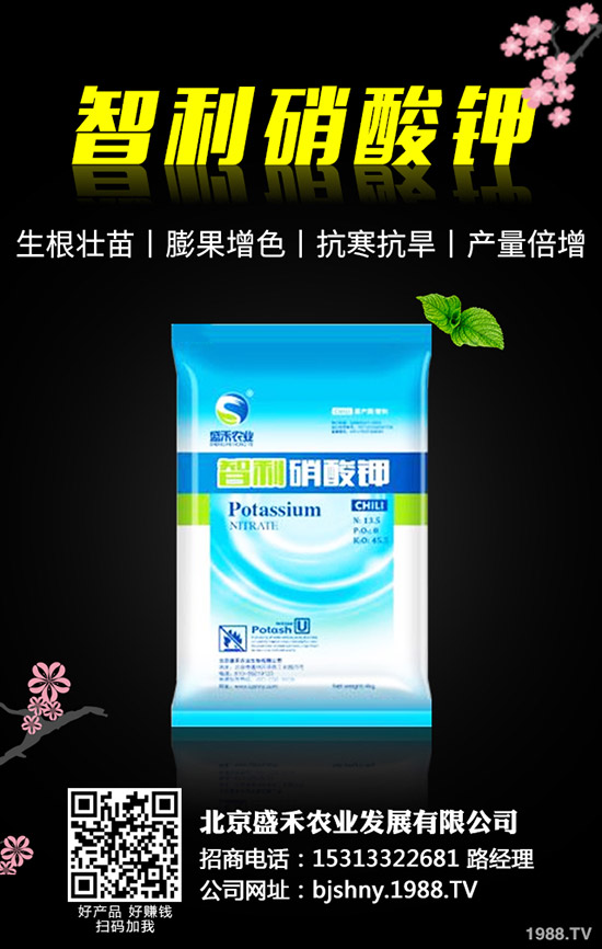 黑豆什么時候種植,黑豆的種植要點有哪些?