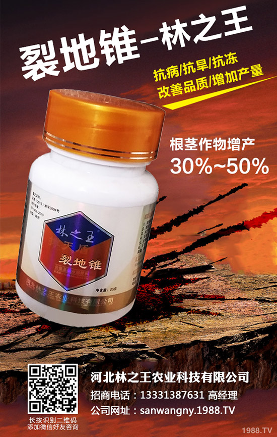 ѹô£ѹδʩ