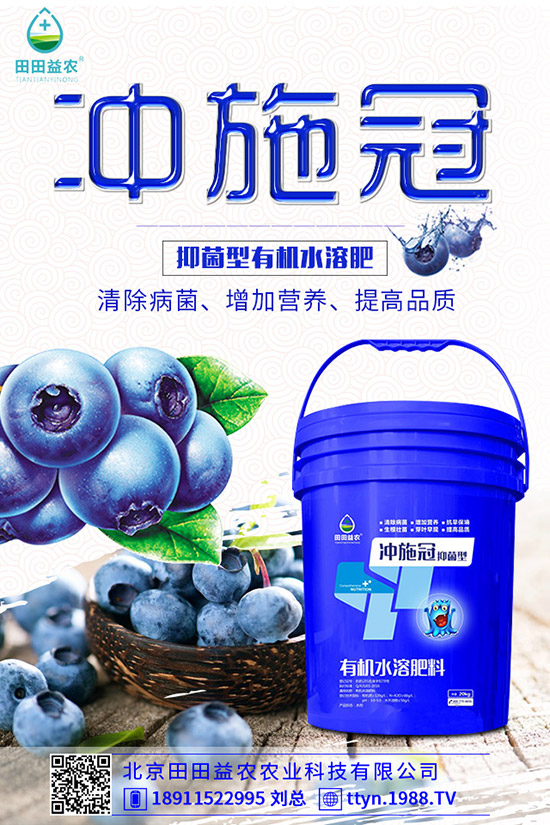 南瓜什么時候種植,南瓜的種植要點有哪些?