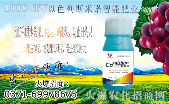 ɫ˹Zɹvr(nng)W(wng)M(jn)܊W(wng)j(lu)I(lng)