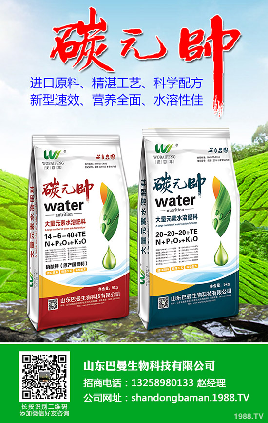 2019-11-21尿素價格局部下滑!各地區(qū)尿素行情分析!