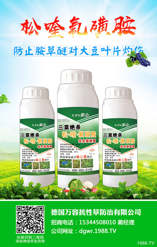 黃豆什么時間種植,黃豆的種植方法有哪些?
