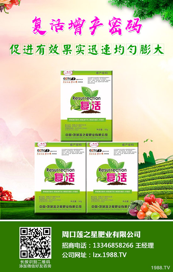 蘿卜種植需要注意哪些事項?啥時候種植比較好?