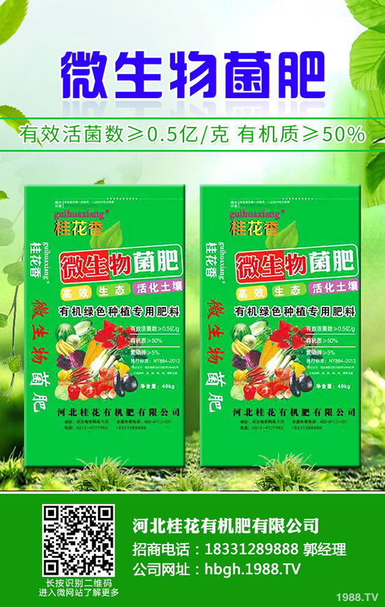 檳榔芋種植技術(shù)有哪些,檳榔芋的病蟲(chóng)害防治