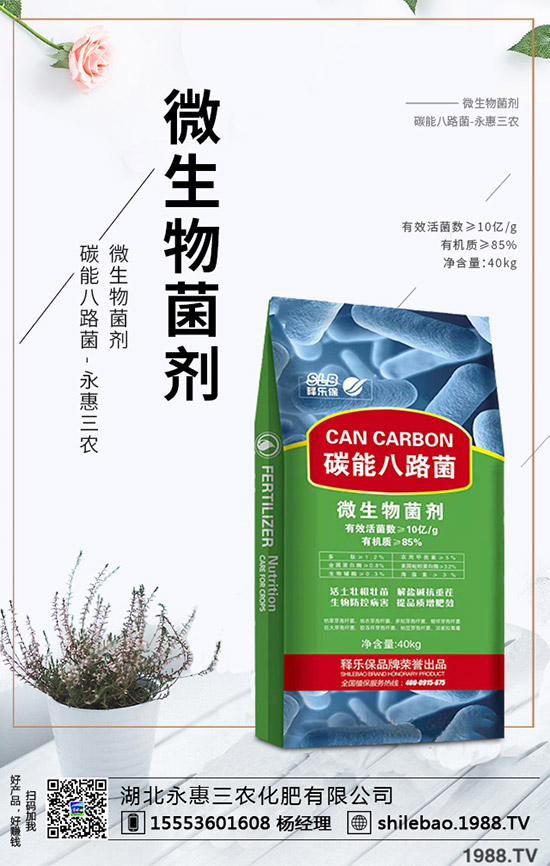 2020年野菜種植賺錢么?一畝能掙多少錢?種植效益如何?
