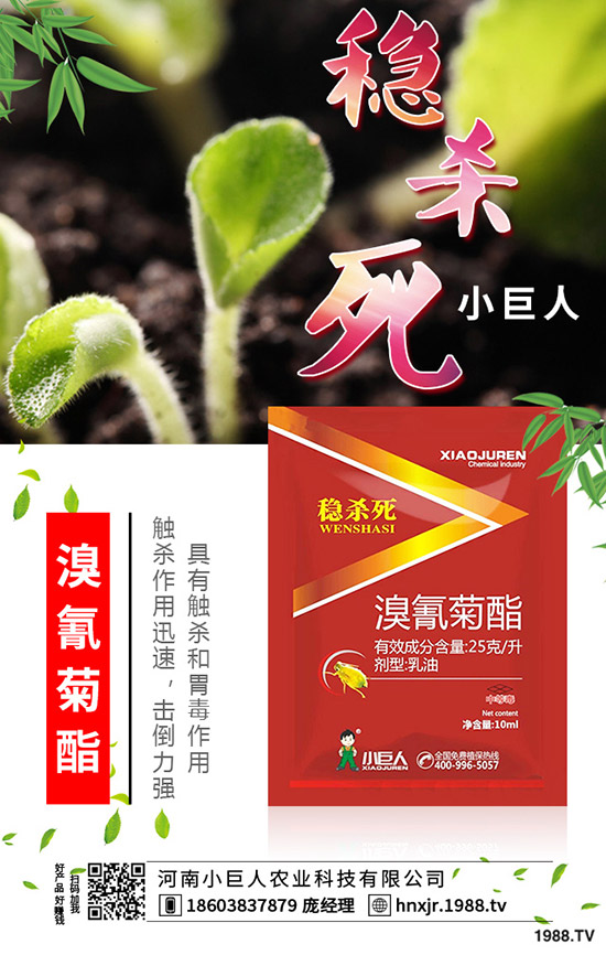 吃苦瓜對人體有什么好處?苦瓜的功效與作用有哪些?