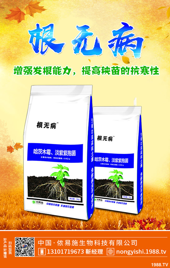 二銨冬儲市場緩慢!今日磷酸二銨主流出廠報(bào)價(jià)一覽2019-11-4