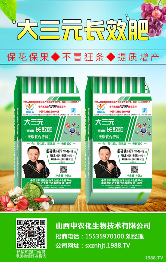 復(fù)合肥冬儲行情下沉!2019年11月4日今日復(fù)合肥出廠參考報(bào)一覽!