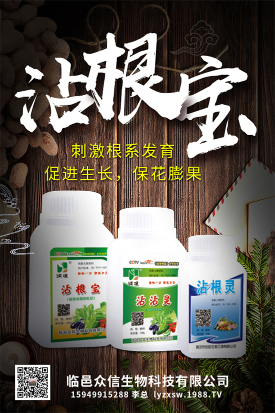 大棚種植黃瓜優(yōu)質高產管理,肥料需要這樣施!