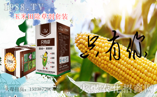 1988.TV喜迎新盟友,艾格弗作物保護(hù)開(kāi)啟網(wǎng)絡(luò)招商新征程!