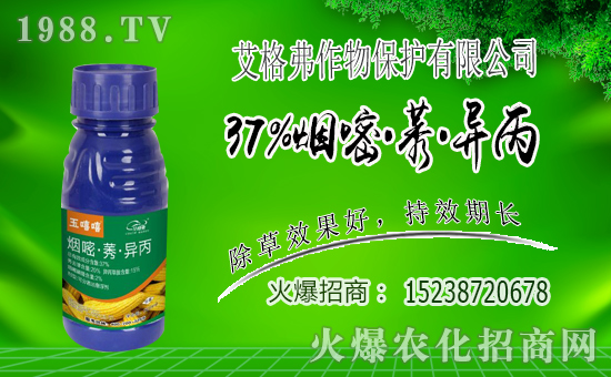 1988.TV喜迎新盟友,艾格弗作物保護(hù)開(kāi)啟網(wǎng)絡(luò)招商新征程!