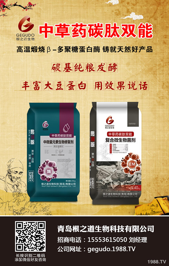大麥播種您真的會嗎,大麥播種時間及技巧!