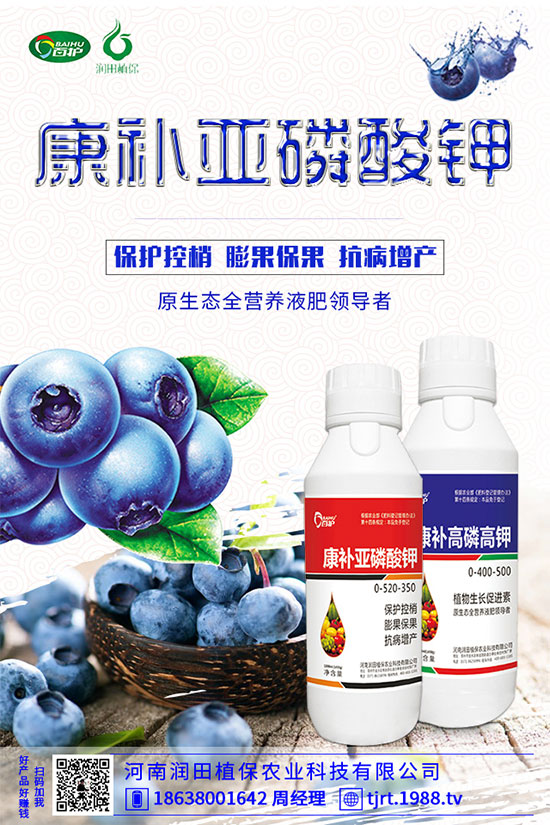 朝天椒什么播種?朝天椒的種植方法及病蟲(chóng)害防治