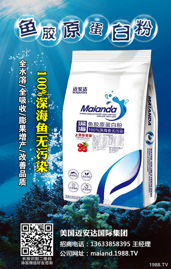 2020年柑橘苗價(jià)格多少錢(qián)一棵?柑橘種植前景怎么樣?賺錢(qián)么?