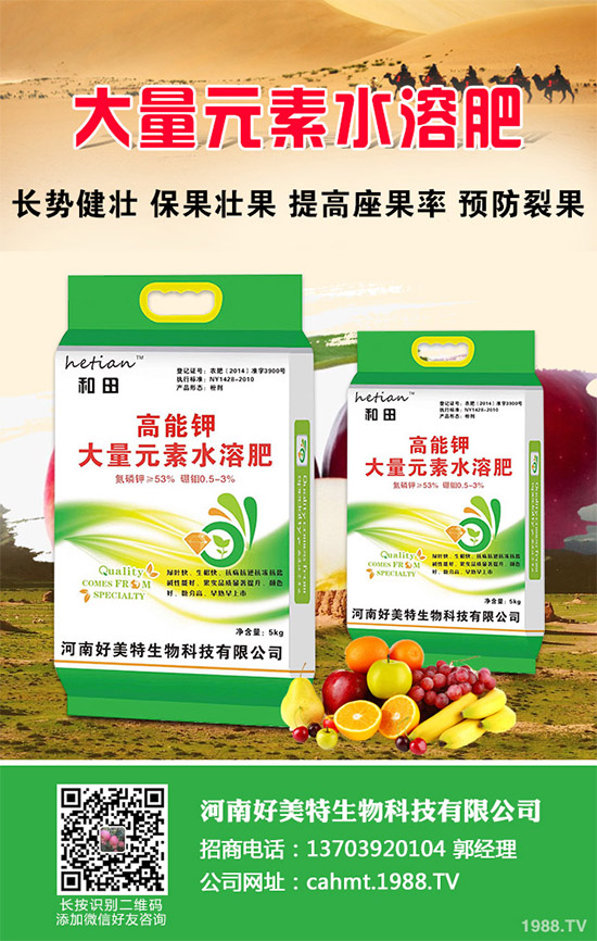 吃蘑菇有什么好處?蘑菇的營養(yǎng)價值及功效作用