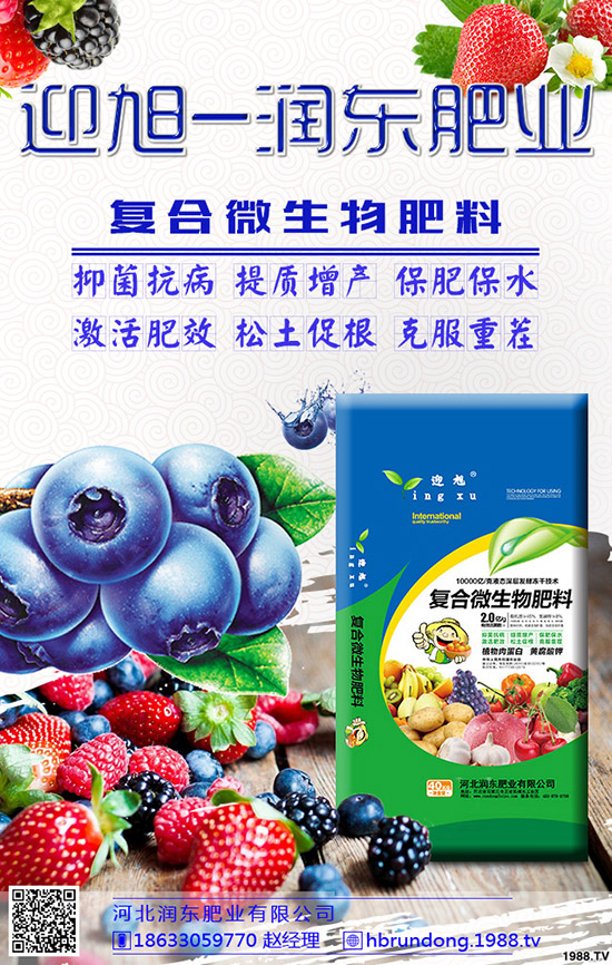 芒果旺長(zhǎng)怎么辦?農(nóng)戶(hù)們?nèi)绾螒?yīng)對(duì)芒果旺長(zhǎng)?