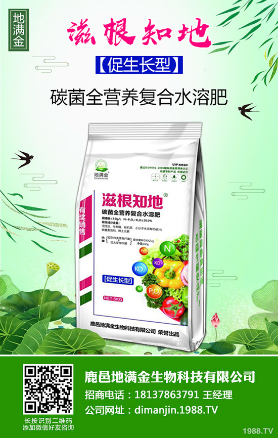 2020年種植哪些洋蔥品種賺錢?洋蔥種植時間及育苗技術(shù)!