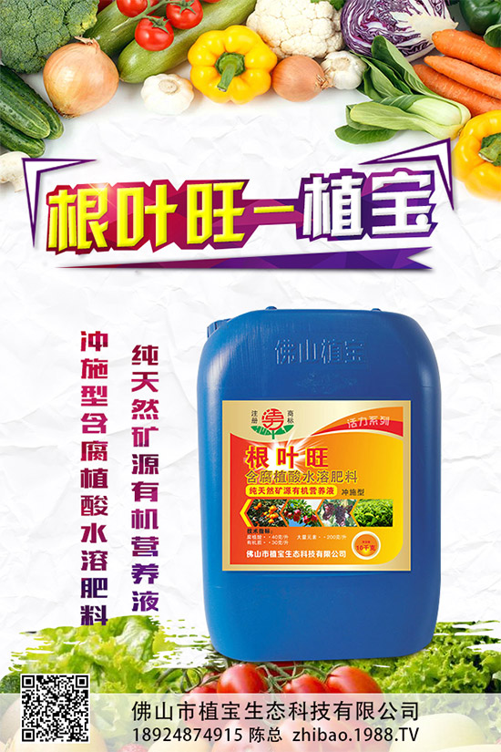 柚子有許多品種,各有各的風味。但眼尖的人會發(fā)現(xiàn),市面上賣的紅肉蜜柚比普通蜜柚要貴上許多。同樣是柚子,外表看起來也差不多,紅肉蜜柚憑什么比白肉柚子貴?