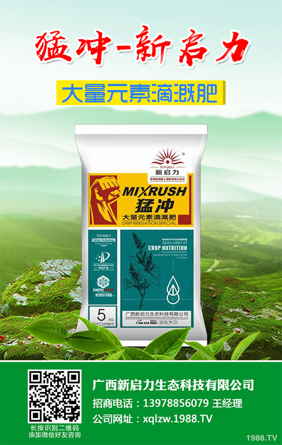 柚子有許多品種,各有各的風味。但眼尖的人會發(fā)現(xiàn),市面上賣的紅肉蜜柚比普通蜜柚要貴上許多。同樣是柚子,外表看起來也差不多,紅肉蜜柚憑什么比白肉柚子貴?