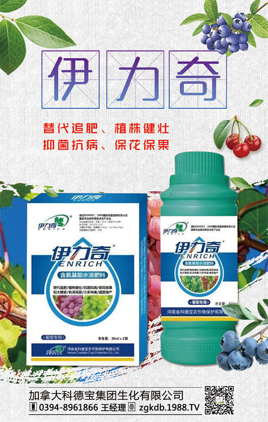 臨近年關!二銨行情是否上!2020年二銨價格行情走勢預測!