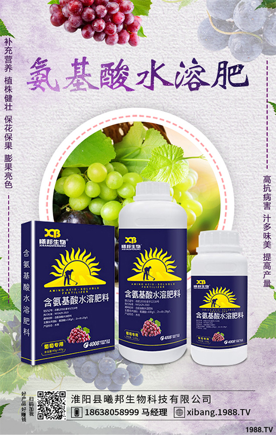 明年種植什么更賺錢?2020年七大賺錢種植項(xiàng)目,快來(lái)看看吧!