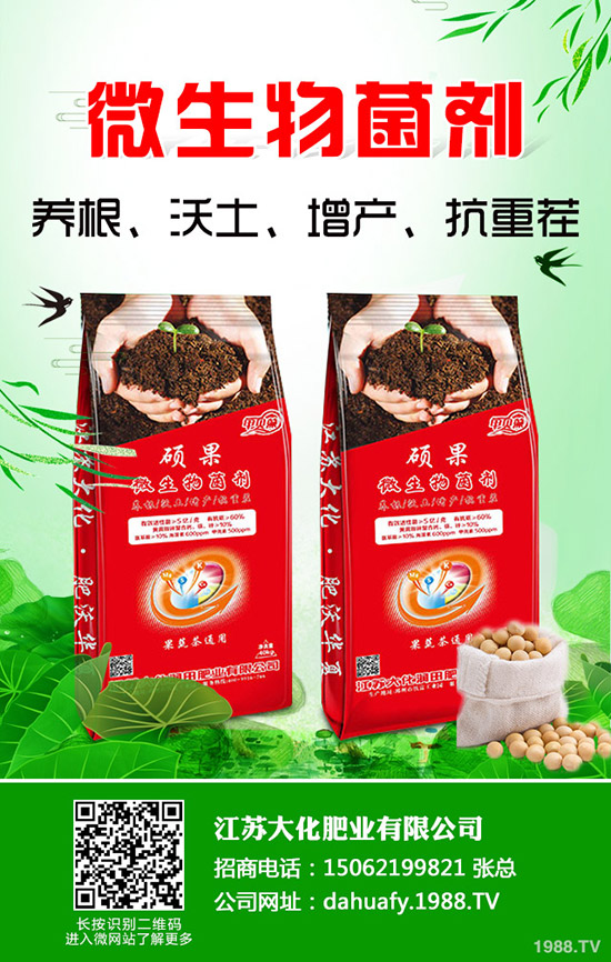 һa(chn)Ƕ2020NֲٍXǰͳɱ