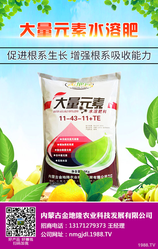 2020春玉米更佳播種時間,春玉米的播種技術(shù)要點(diǎn)