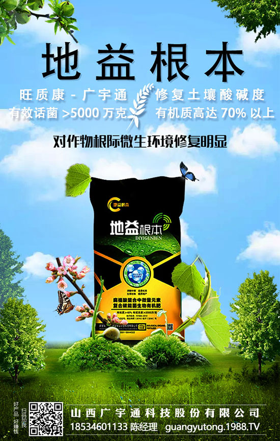 什么肥料屬于菌肥?它到底是什么?