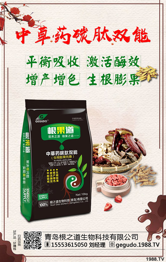 五味子市場價(jià)格如何?2020年種植五味子賺錢么?前景和效益怎么樣?