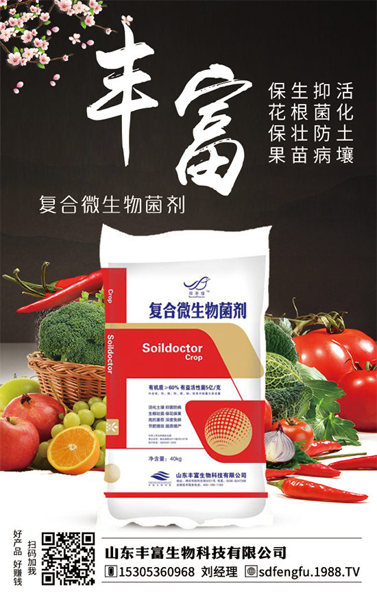 枇杷什么時間嫁接比較好?嫁接的枇杷樹幾年結(jié)果?(枇杷樹嫁接方法)