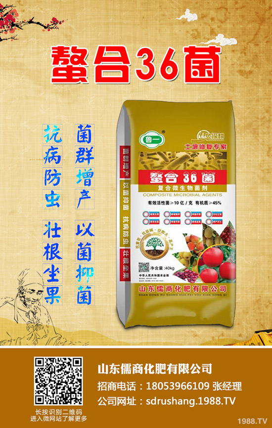 2020年小麥什么時間冬灌澆水!小冬灌的好處!冬灌還能施肥嗎?