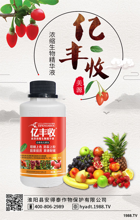 荔枝果樹怎么修剪?荔枝采后修剪的常見誤區(qū)!